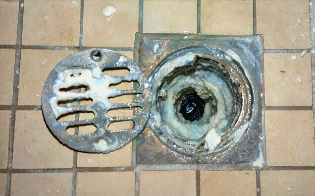 https://comoblockeddrains.com.au/uploads/2025/07/blocked-shower-drains-33151.jpg