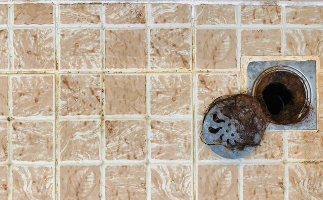 https://comoblockeddrains.com.au/uploads/2025/07/blocked-shower-drains-91576.jpg