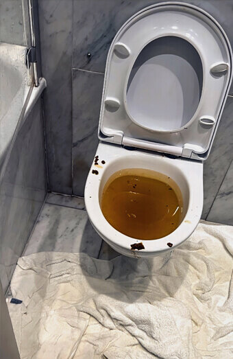 https://comoblockeddrains.com.au/uploads/2025/07/blocked-toilet-27793.jpg