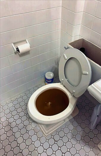 https://comoblockeddrains.com.au/uploads/2025/07/blocked-toilet-42230.jpg