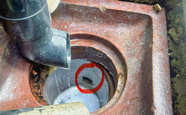 https://comoblockeddrains.com.au/uploads/2025/07/hero-blocked-sewers-17074.jpg